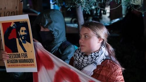 Грета Тунберг на акции протеста против COP 29 в Тбилиси